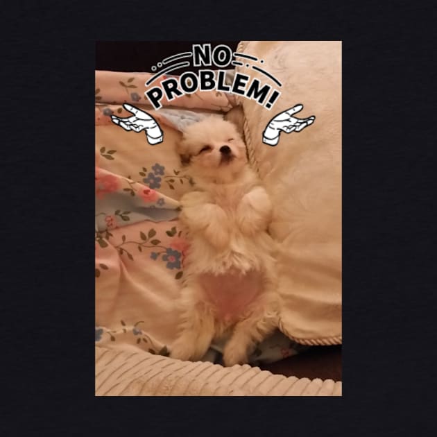 No problem by T-ME